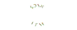 Sonic Drive-In logo - Sonic menu with prices 2025